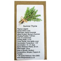 6 Degrees East Heirloom Herb Seeds - Thyme - Summer Thyme